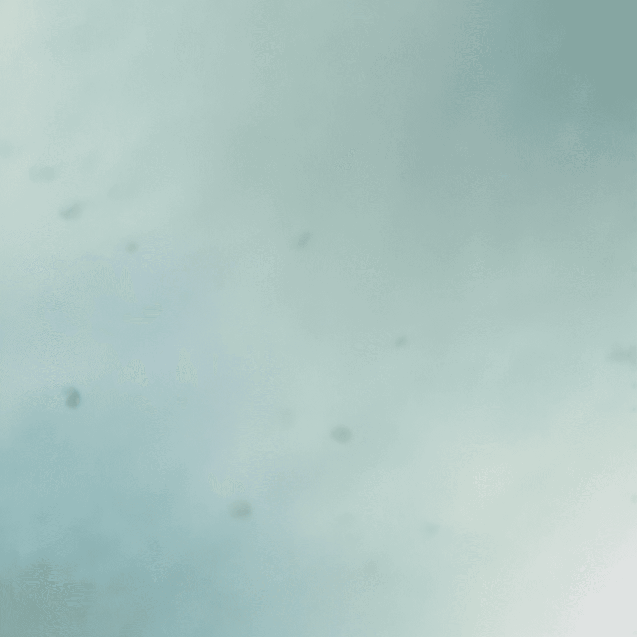 Piggy Flap game banner