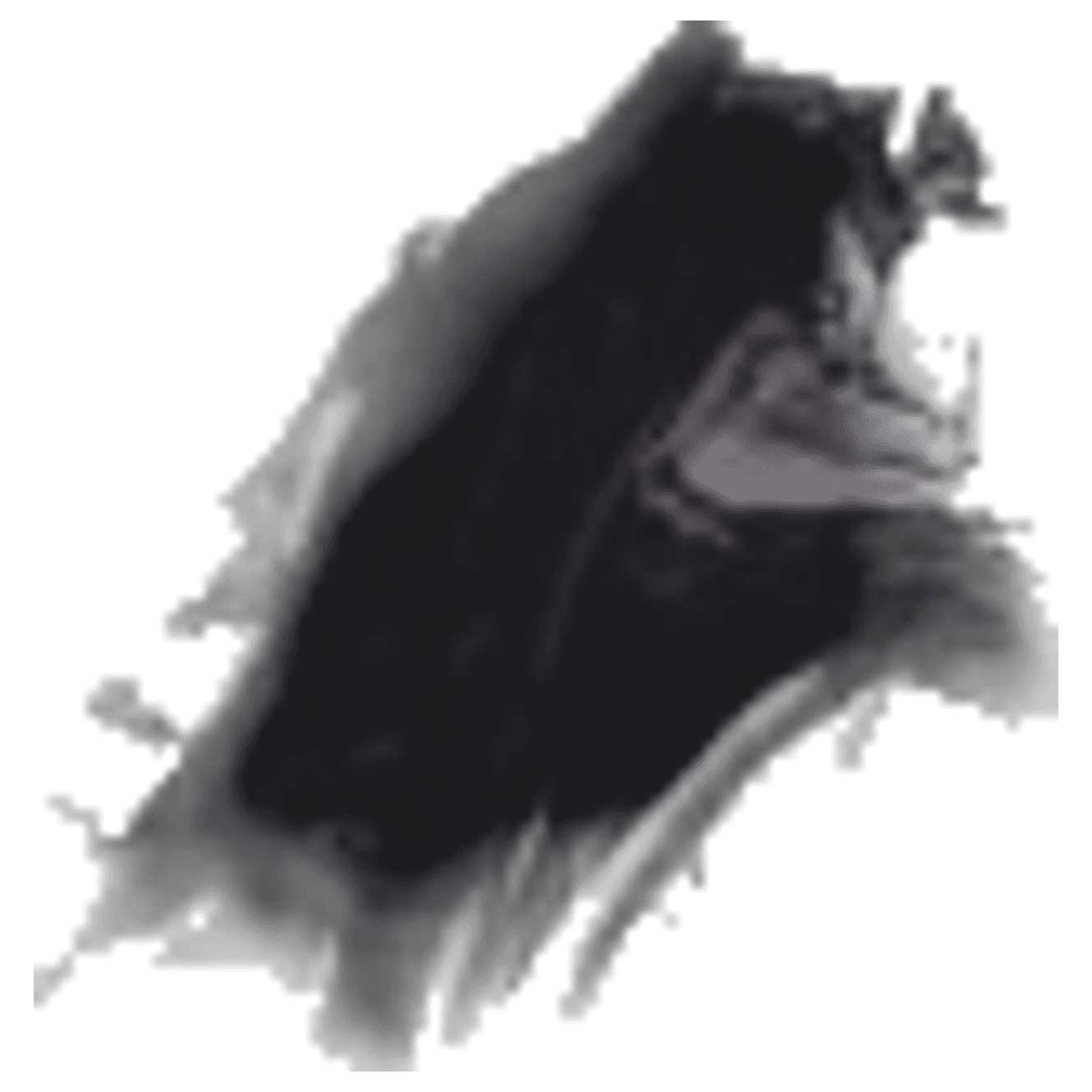 Forsaken Frenzy game banner