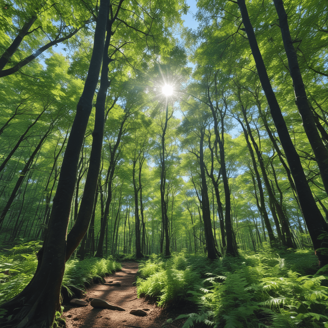 Photosynthesis Runner game banner