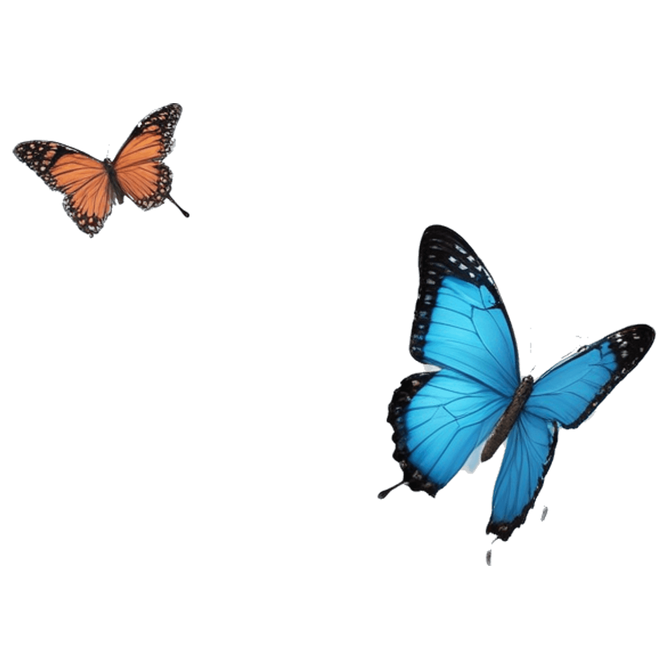 Weimar Butterfly Bridge game banner