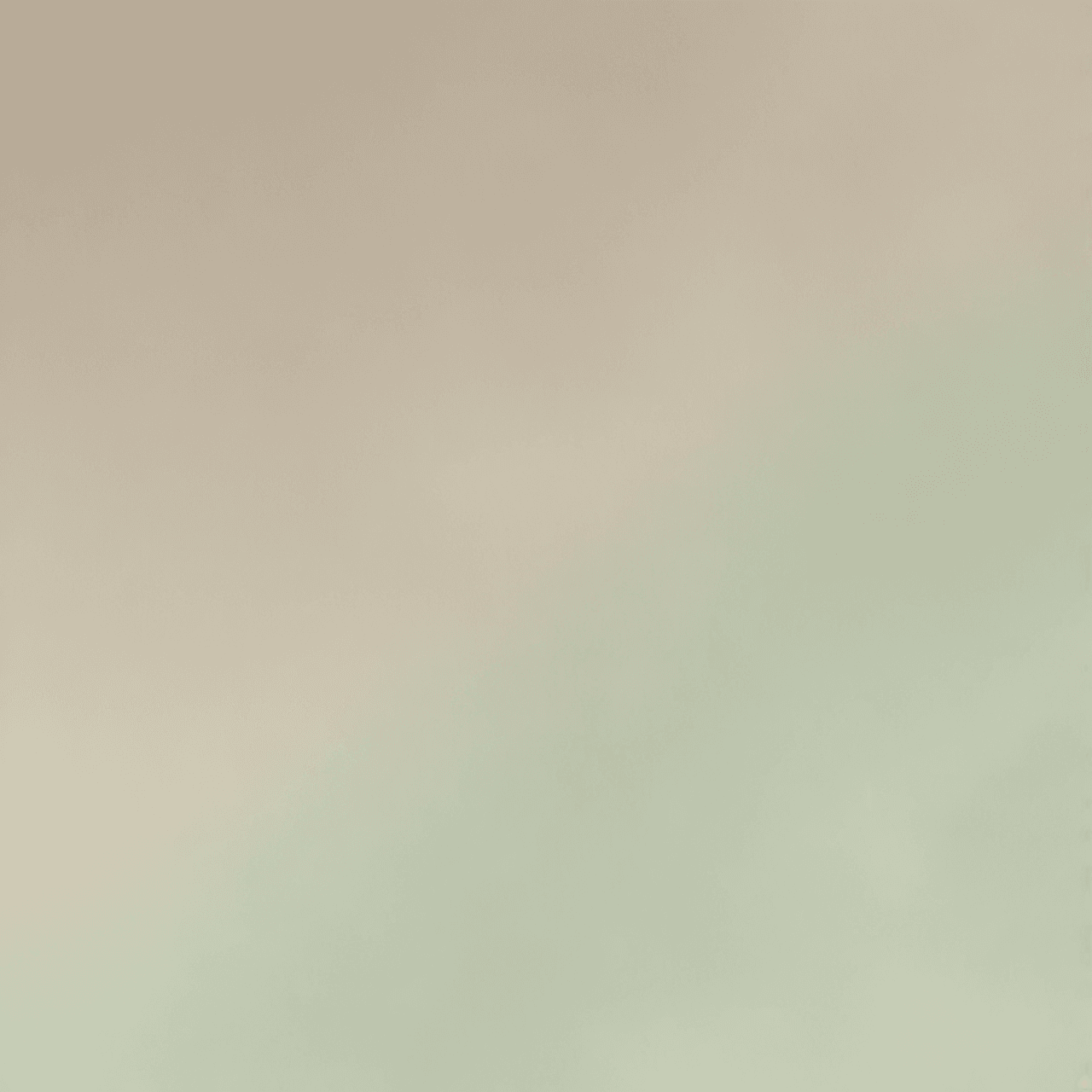 Shrek's Study Jump game banner