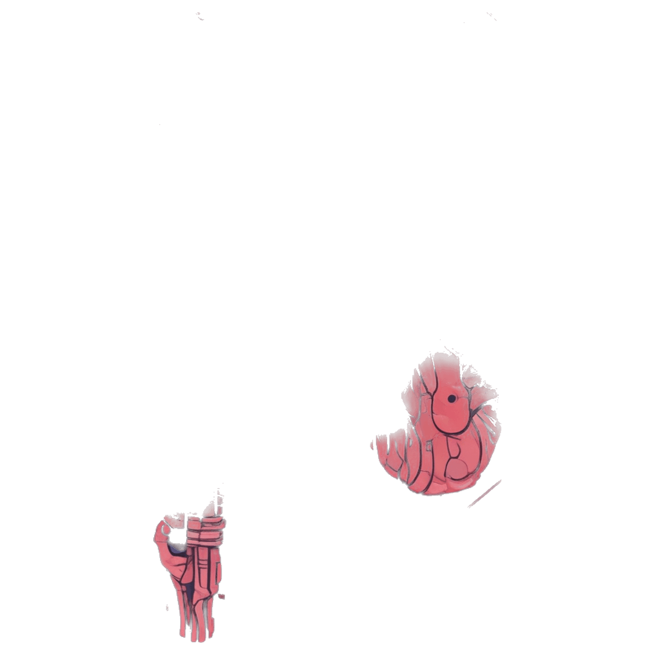 Anatomy Challenge game banner