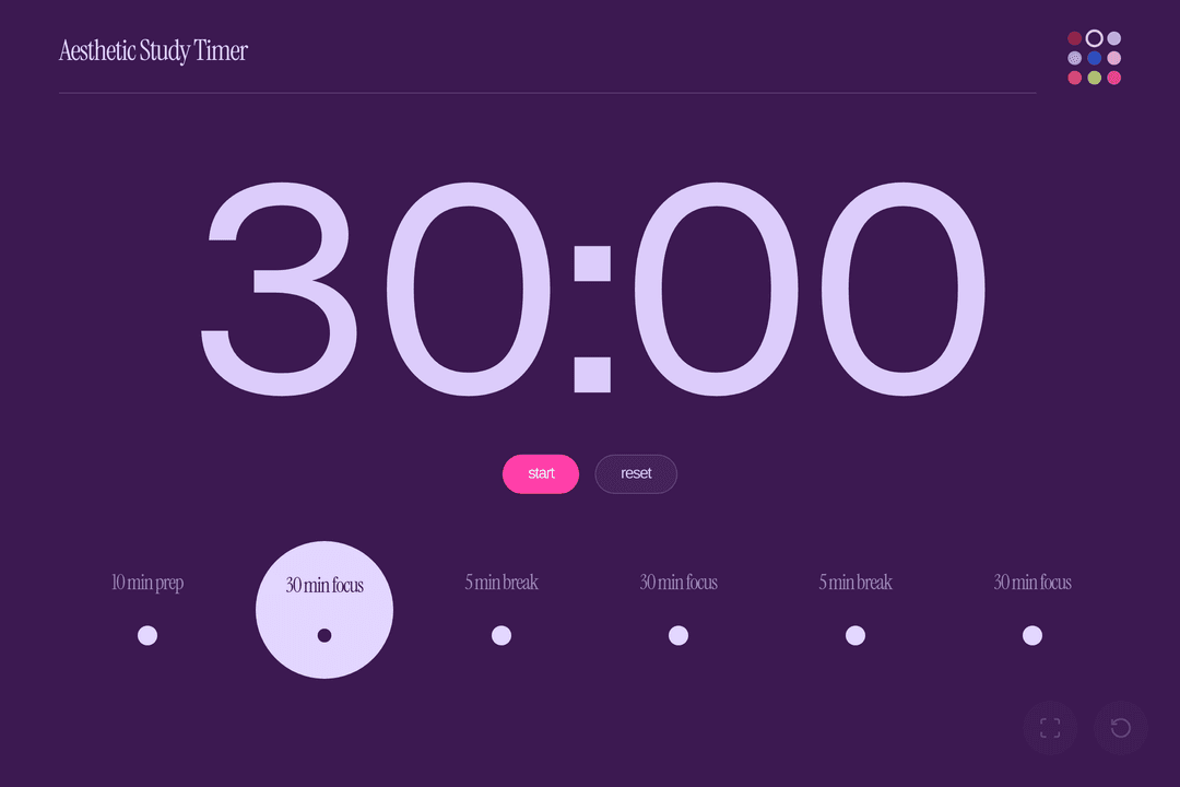 Aesthetic Study Timer (copy)