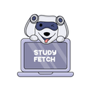 StudyFetch Mascot