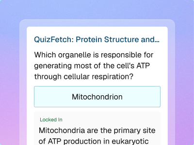 Quizzes
